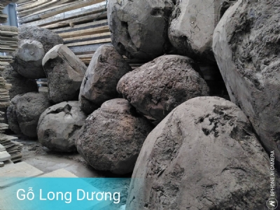  Nu óc chó, mặt bàn nu, mặt bàn óc chó nguyên khối kho em sẵn. Các bác cần chỉ việc nhấc máy alo em nhé ạ: 0909377209/ 0988045958